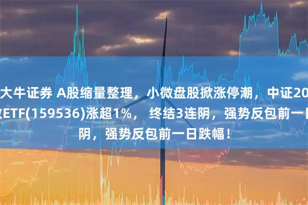 大牛证券 A股缩量整理，小微盘股掀涨停潮，中证2000指数ETF(159536)涨超1%， 终结3连阴，强势反包前一日跌幅！
