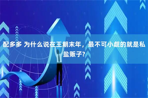 配多多 为什么说在王朝末年，最不可小觑的就是私盐贩子?