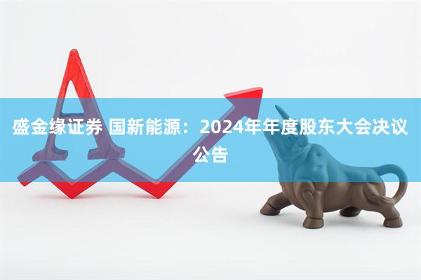 盛金缘证券 国新能源：2024年年度股东大会决议公告