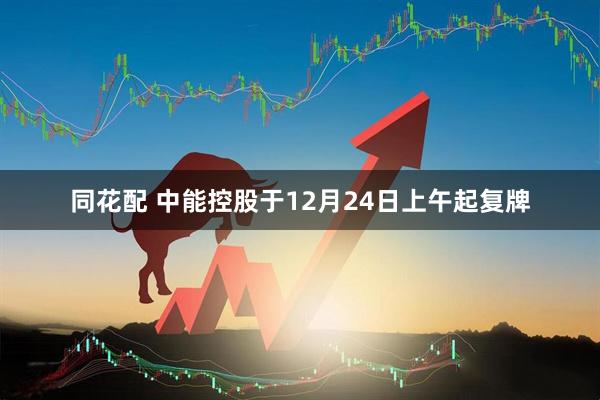 同花配 中能控股于12月24日上午起复牌