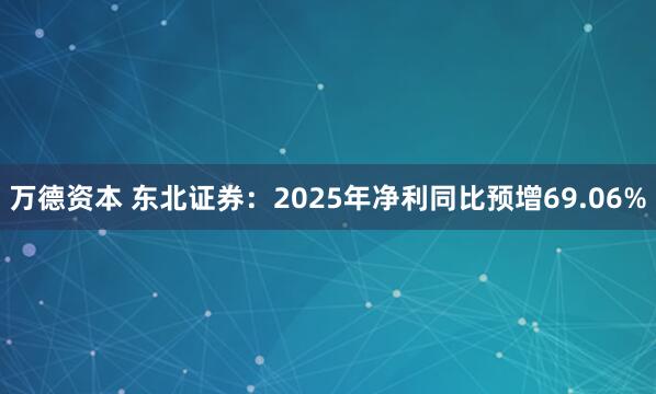 万德资本 东北证券：2025年净利同比预增69.06%
