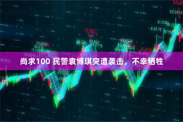 尚求100 民警袁博琪突遭袭击，不幸牺牲